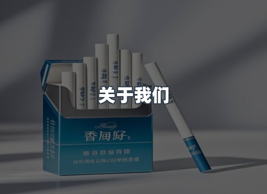 专业团队